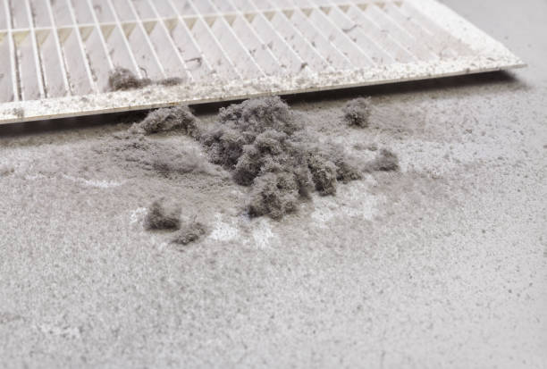 Best Air Duct Cleaning Near Me  in Murillo, TX