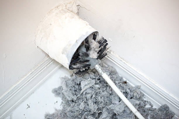 Best Air Vent Cleaning Services  in Murillo, TX